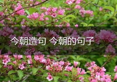 今朝造句 今朝的句子