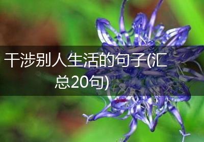 干涉别人生活的句子(汇总20句)
