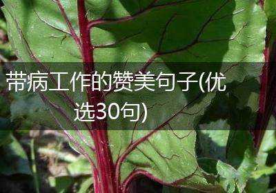 带病工作的赞美句子(优选30句)