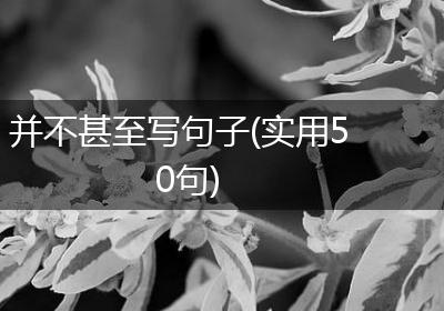 并不甚至写句子(实用50句)