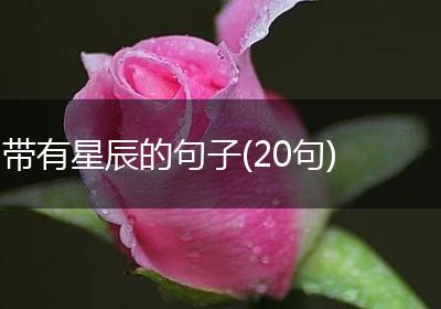 带有星辰的句子(20句)