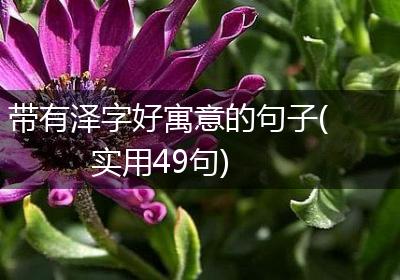 带有泽字好寓意的句子(实用49句)