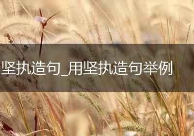 坚执造句_用坚执造句举例