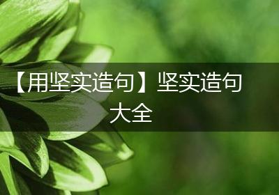 【用坚实造句】坚实造句大全
