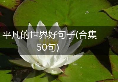 平凡的世界好句子(合集50句)