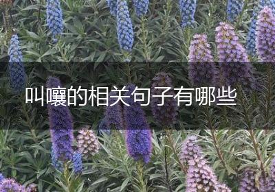 叫嚷的相关句子有哪些