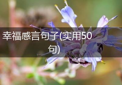 幸福感言句子(实用50句)
