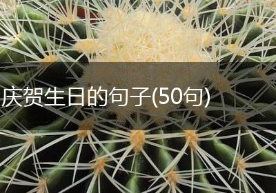 庆贺生日的句子(50句)