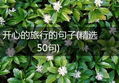 开心的旅行的句子(精选50句)