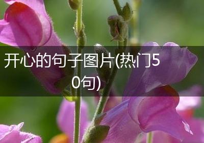 开心的句子图片(热门50句)