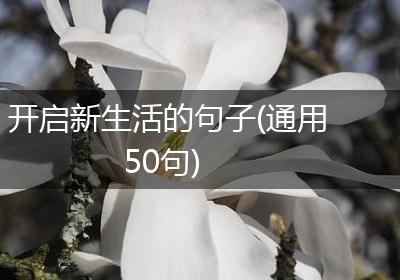 开启新生活的句子(通用50句)