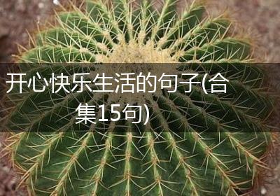 开心快乐生活的句子(合集15句)