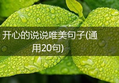 开心的说说唯美句子(通用20句)