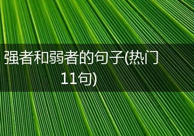 强者和弱者的句子(热门11句)
