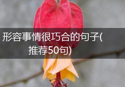 形容事情很巧合的句子(推荐50句)