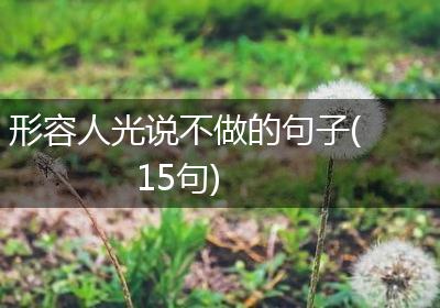 形容人光说不做的句子(15句)