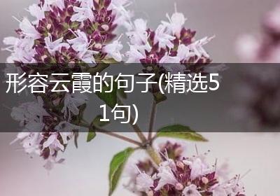 形容云霞的句子(精选51句)