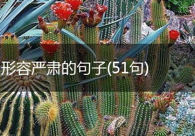 形容严肃的句子(51句)