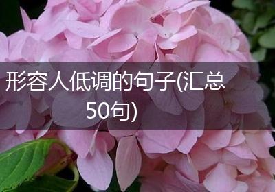 形容人低调的句子(汇总50句)