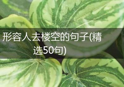 形容人去楼空的句子(精选50句)