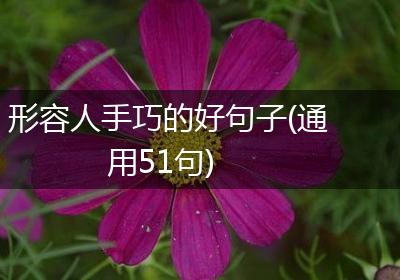 形容人手巧的好句子(通用51句)