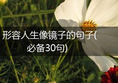 形容人生像镜子的句子(必备30句)