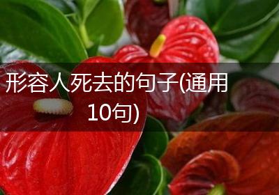 形容人死去的句子(通用10句)