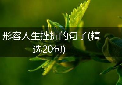 形容人生挫折的句子(精选20句)