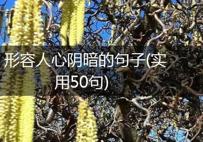形容人心阴暗的句子(实用50句)