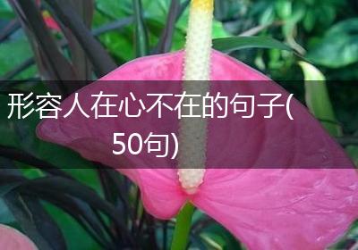 形容人在心不在的句子(50句)