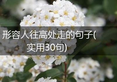 形容人往高处走的句子(实用30句)