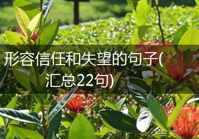 形容信任和失望的句子(汇总22句)