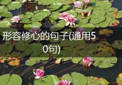 形容修心的句子(通用50句)