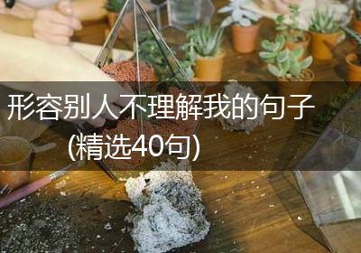 形容别人不理解我的句子(精选40句)