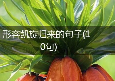 形容凯旋归来的句子(10句)