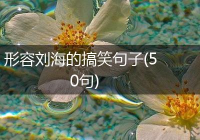 形容刘海的搞笑句子(50句)