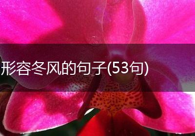 形容冬风的句子(53句)