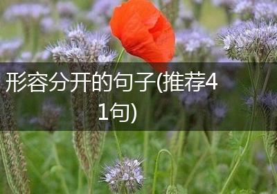 形容分开的句子(推荐41句)