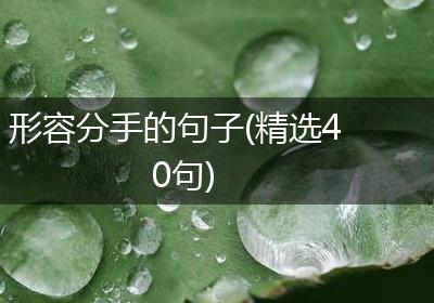 形容分手的句子(精选40句)