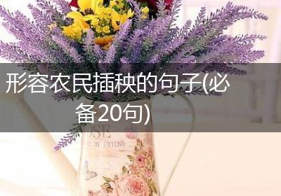 形容农民插秧的句子(必备20句)