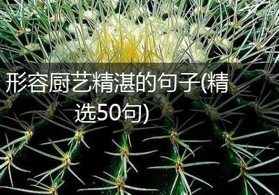 形容厨艺精湛的句子(精选50句)