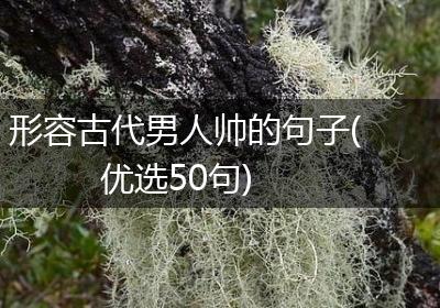 形容古代男人帅的句子(优选50句)