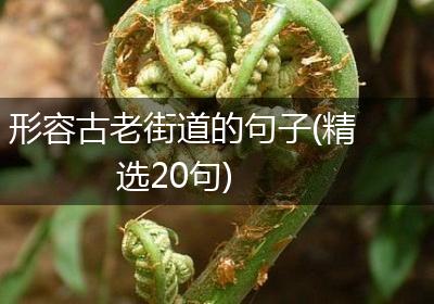 形容古老街道的句子(精选20句)