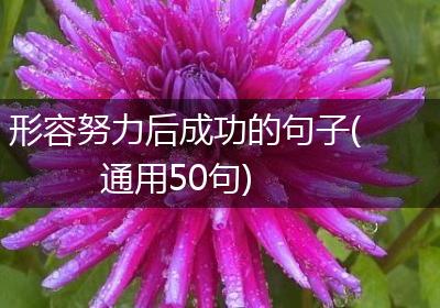 形容努力后成功的句子(通用50句)