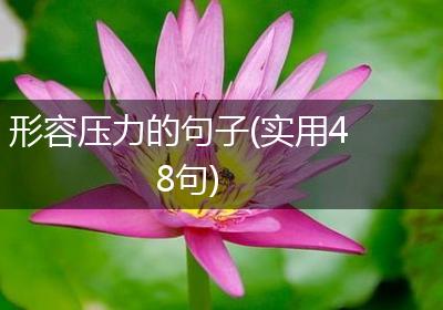 形容压力的句子(实用48句)