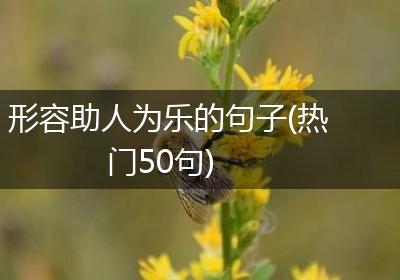 形容助人为乐的句子(热门50句)