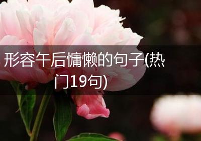 形容午后慵懒的句子(热门19句)