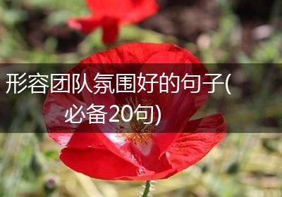 形容团队氛围好的句子(必备20句)