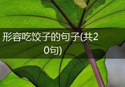 形容吃饺子的句子(共20句)