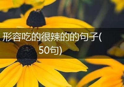 形容吃的很辣的的句子(50句)